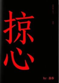 掠心 掠心