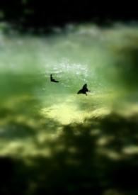 醒过(又名:前炮友想转正想疯了) 醒过(又名:前炮友想转正想疯了)