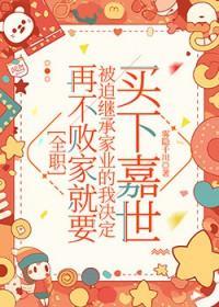 [全职同人]再不败家就要被迫继承家业的我决定买下嘉世